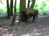 IMG_2006.JPG