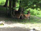 Img_3422.jpg