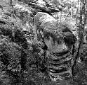 sw_05_07.jpg