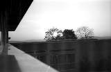 swk016.jpg