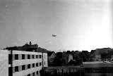 swk019.jpg
