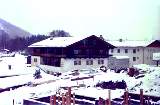 swk257.jpg